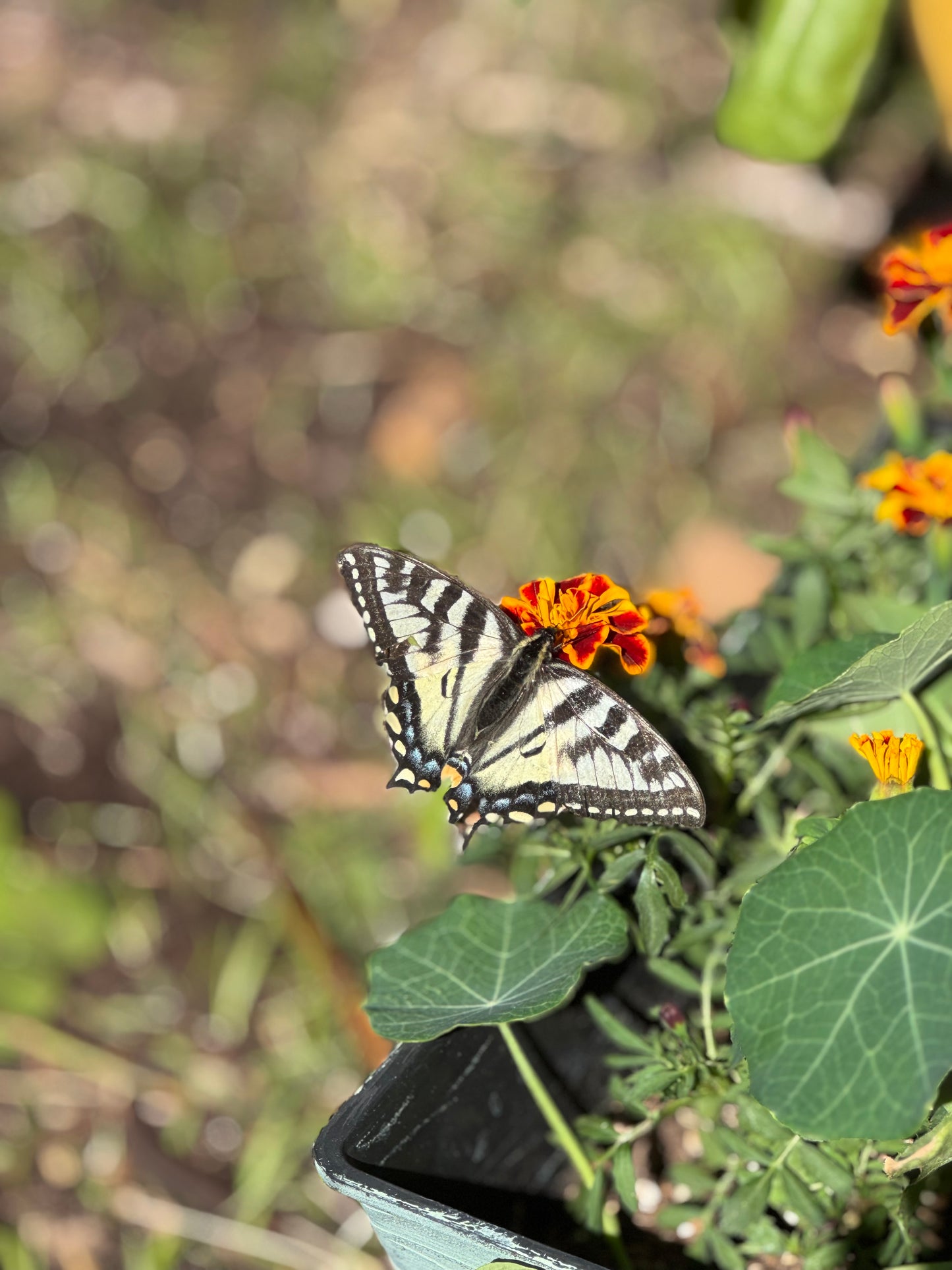 Create, Connect, Unplug: Pottery Retreat
