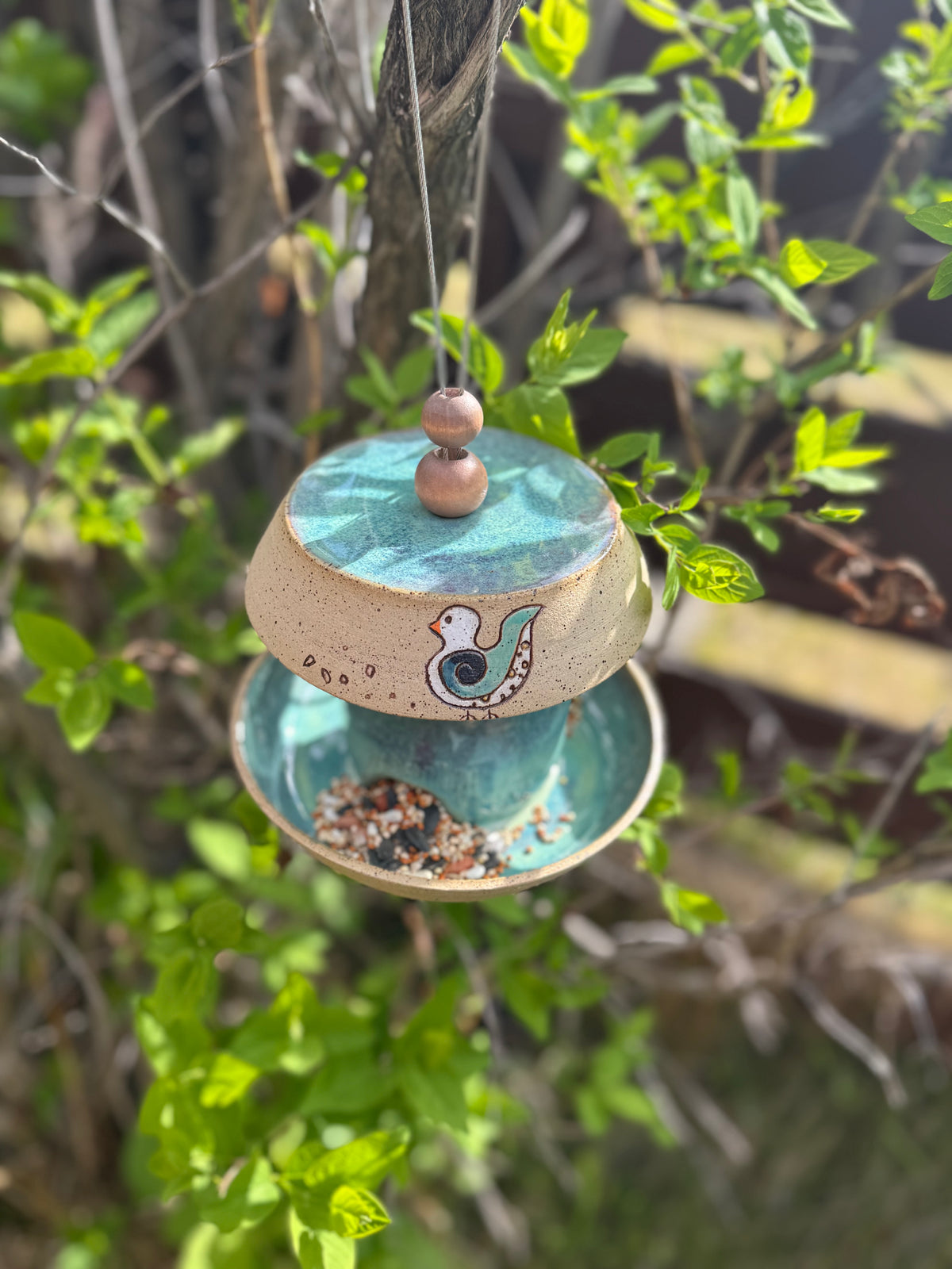 Bird Lovers : Pottery Retreat - June 18th - June 20th