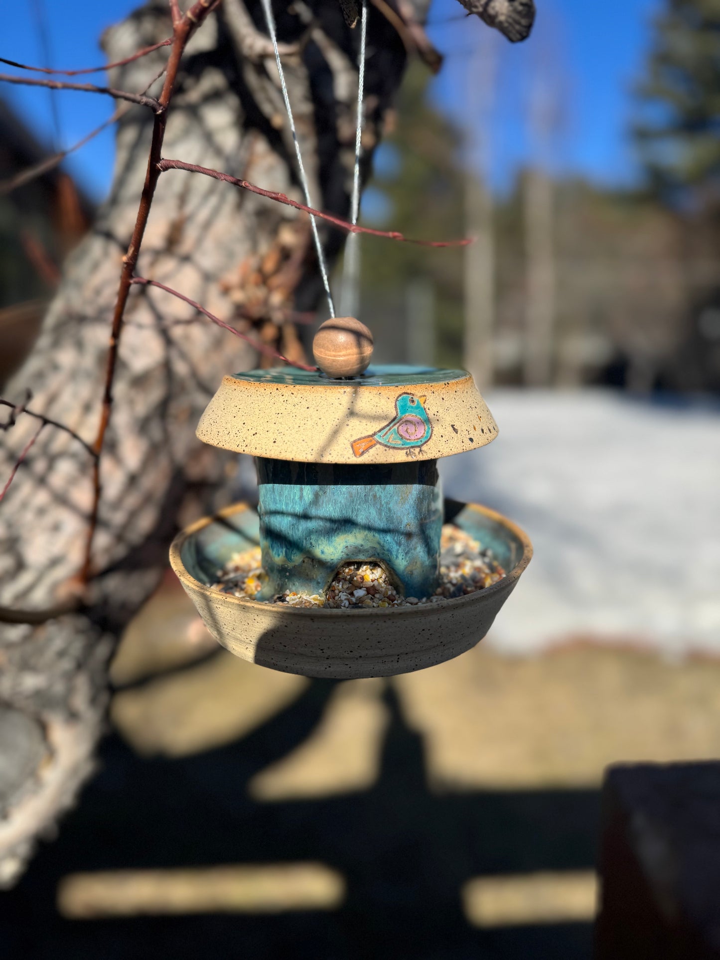 Bird Feeders
