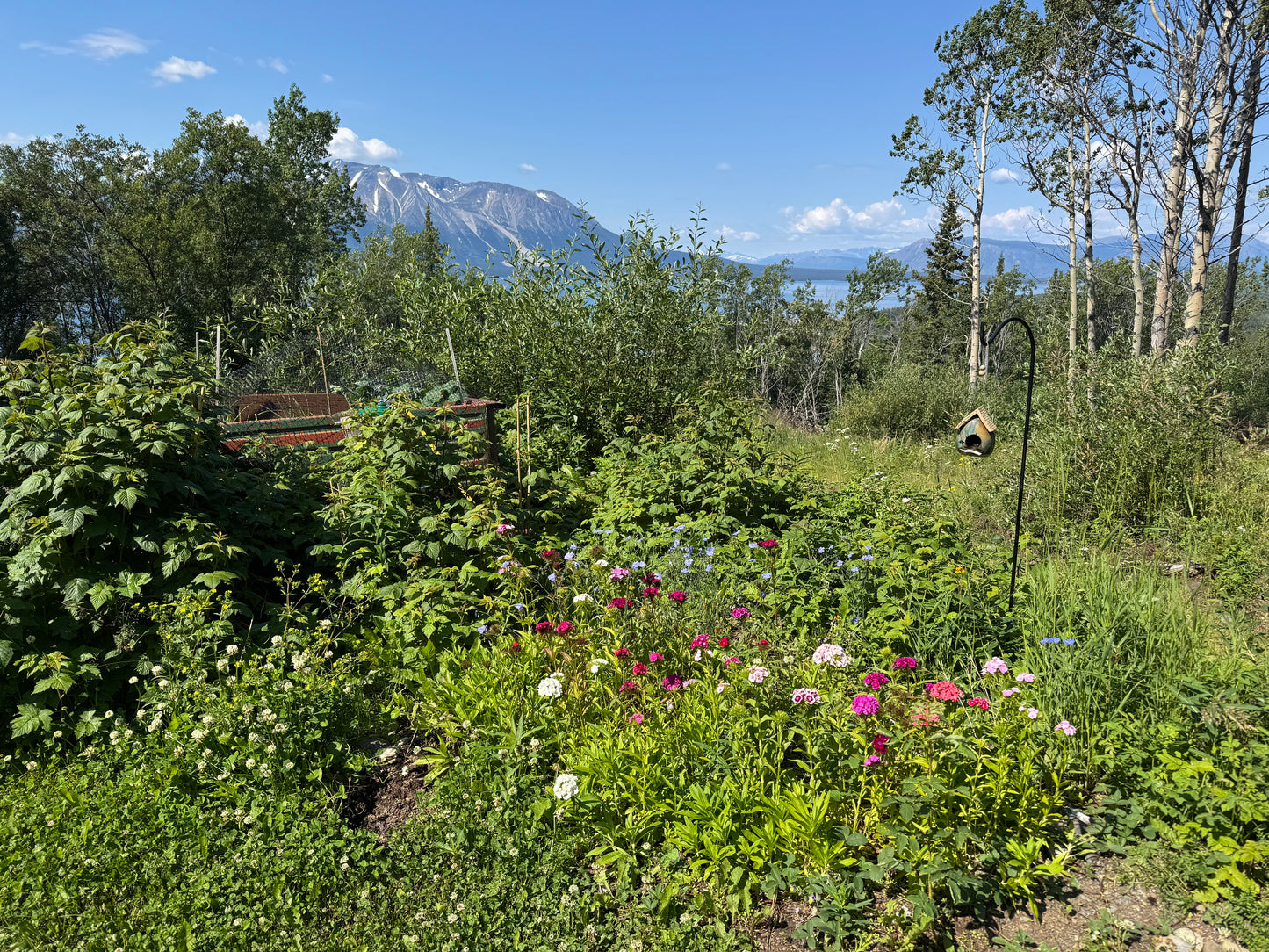 Create, Connect, Unplug: Pottery Retreat