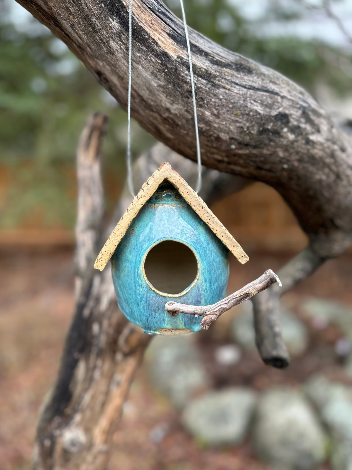 Bird Lovers : Pottery Retreat - June 18th - June 20th