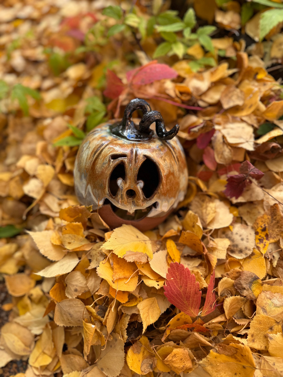 Fall Favourites: Pottery Retreat- Sept 3-5