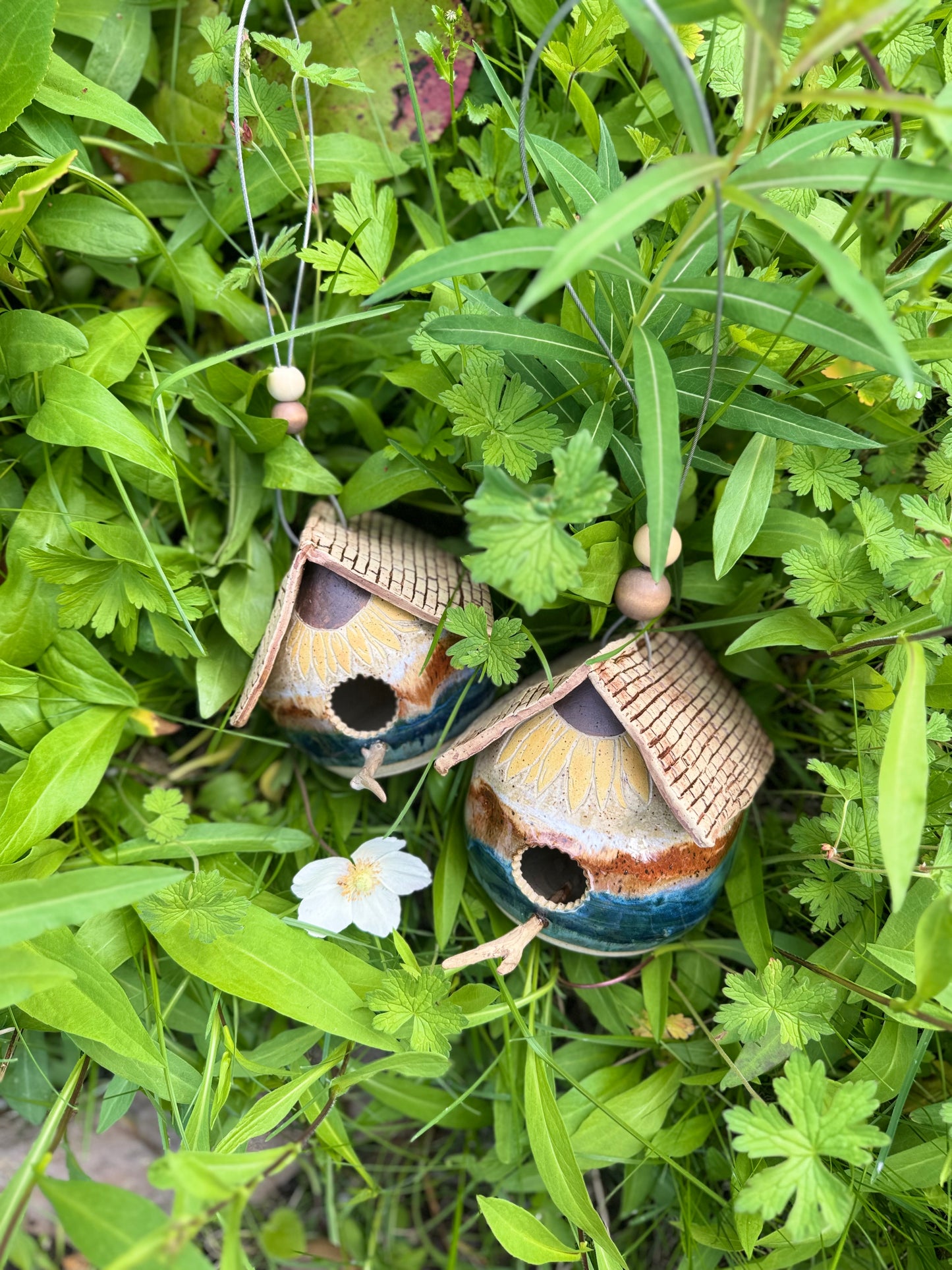 Bird House