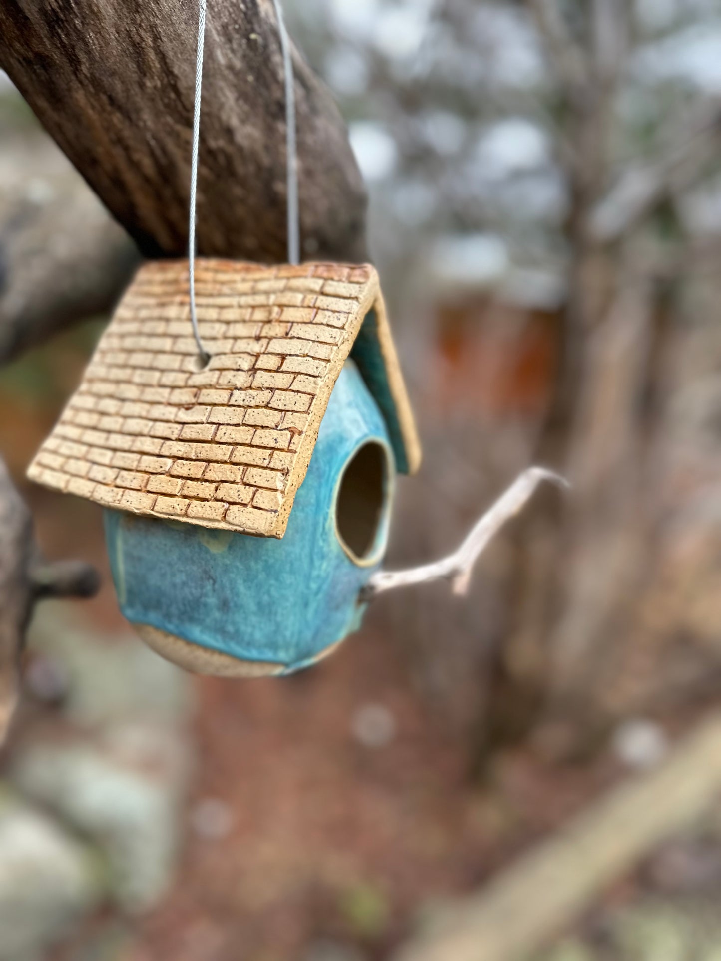 Bird House