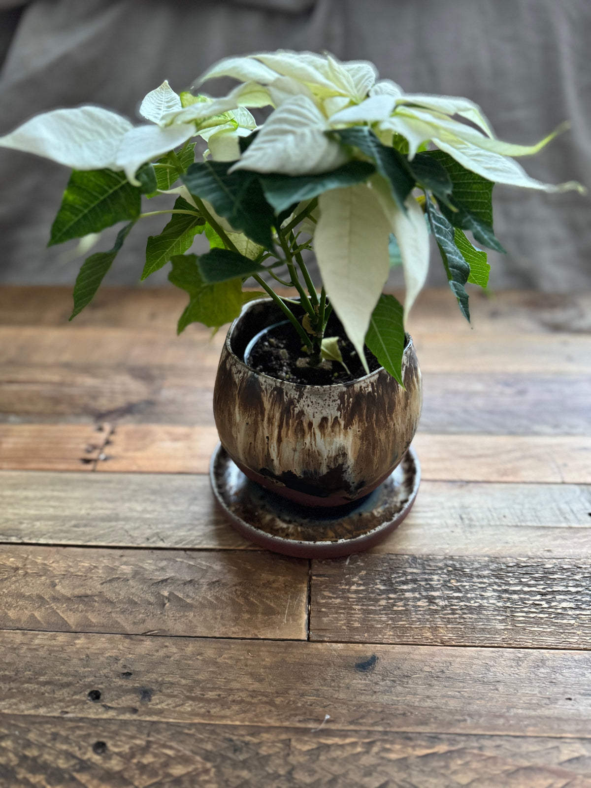 Garden Party: Pottery Retreat- July 30 - Aug 1