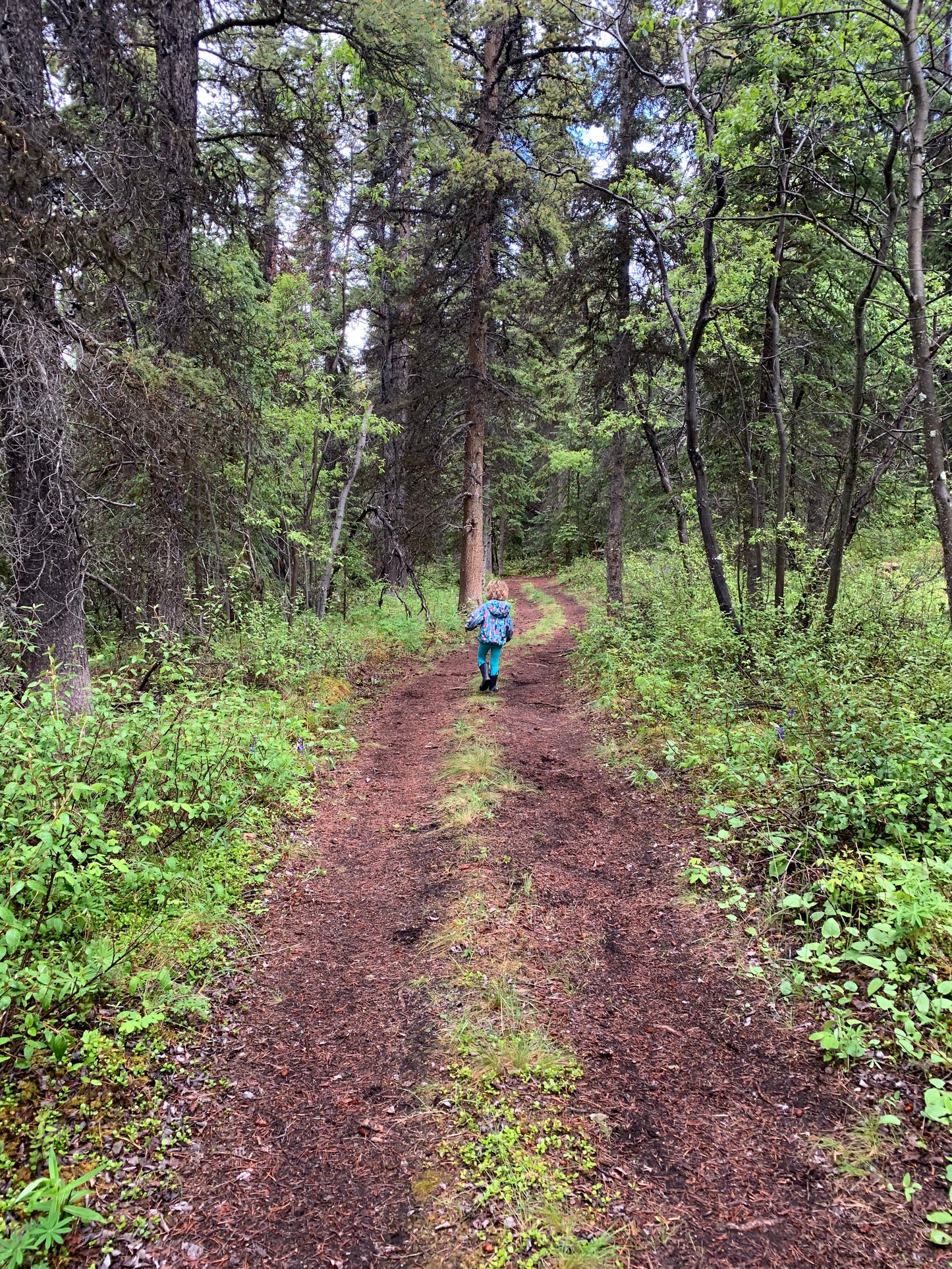 Create, Connect, Unplug: Pottery Retreat