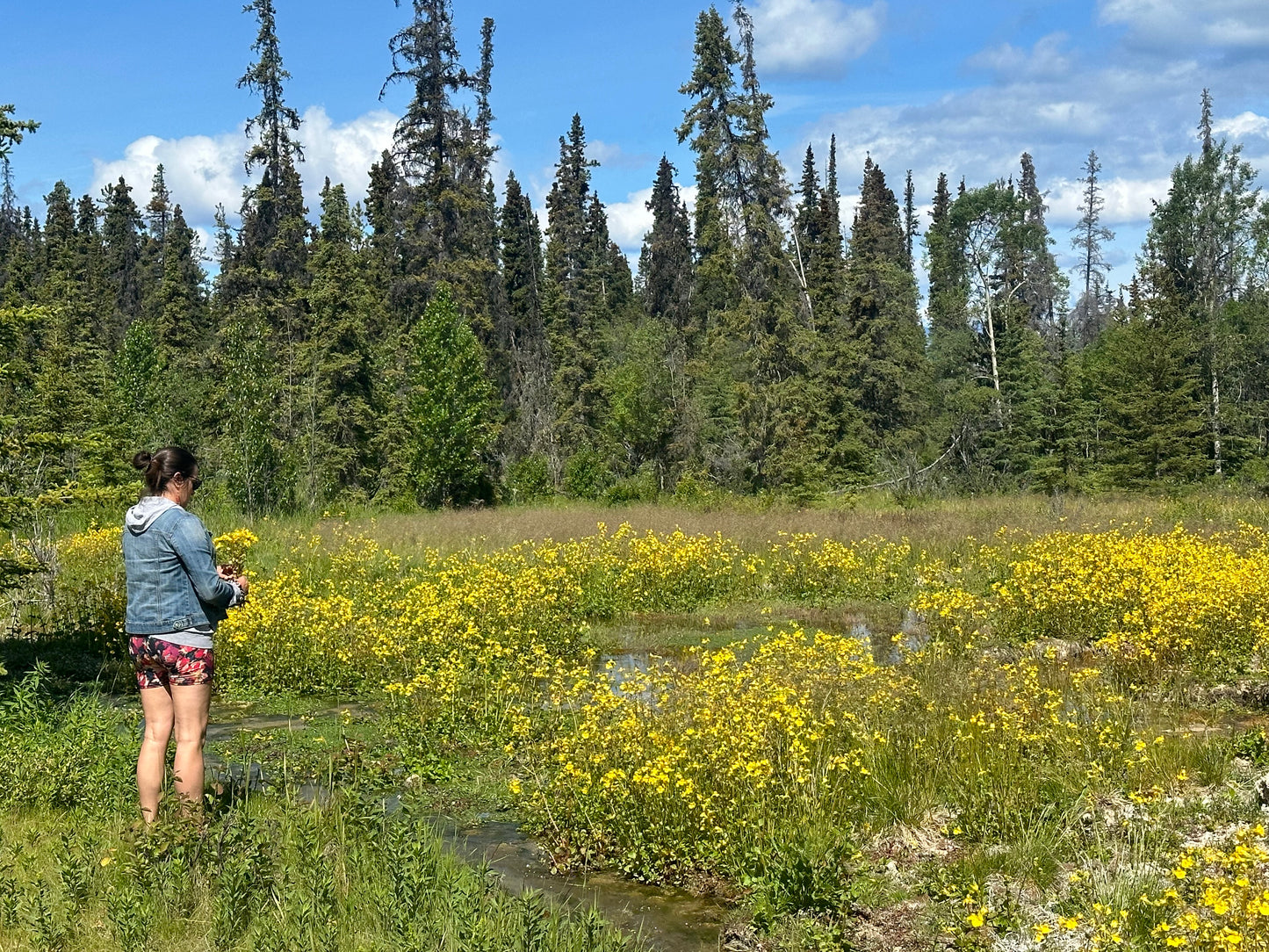 Create, Connect, Unplug: Pottery Retreat