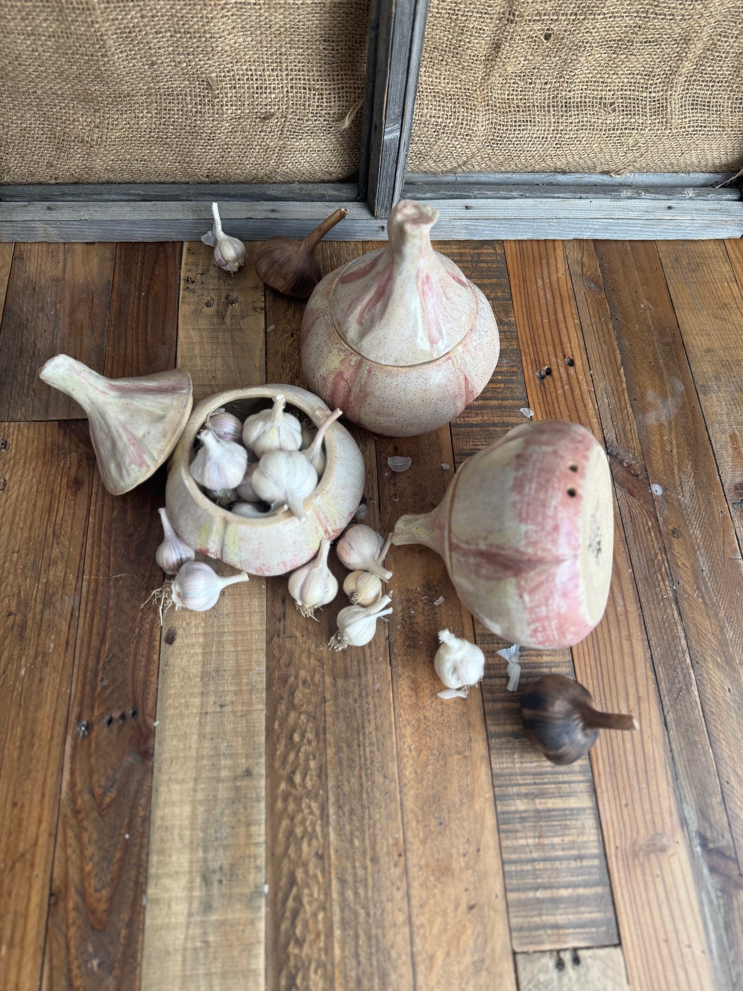 Ceramic Garlic Keeper